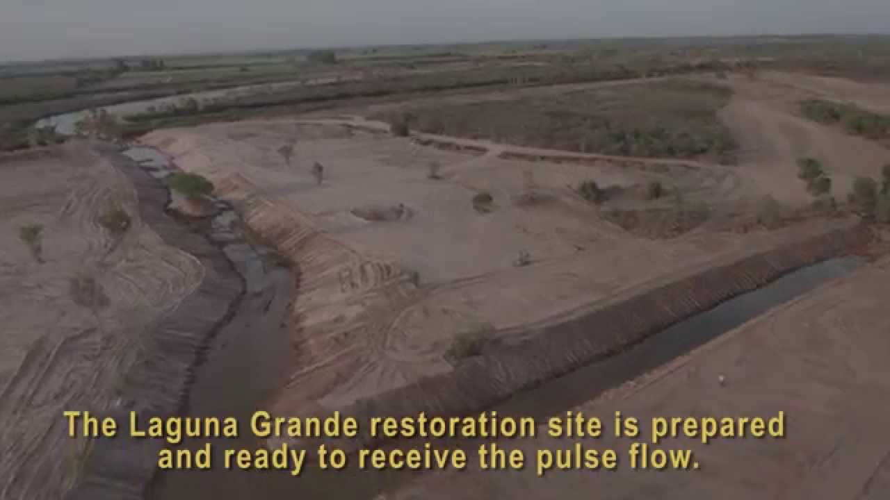 The Restoration Site Awaits the Pulse Flow