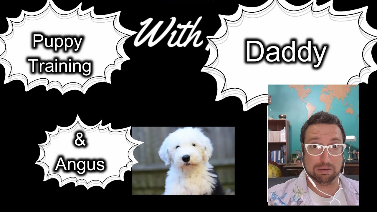 Puppy Training with Daddy
