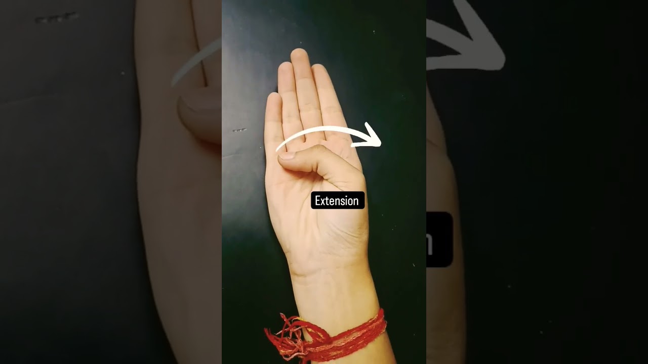 movements of thumb👍 #flexion #extension #adduction #abduction #anatomy #physiotherapy #physio