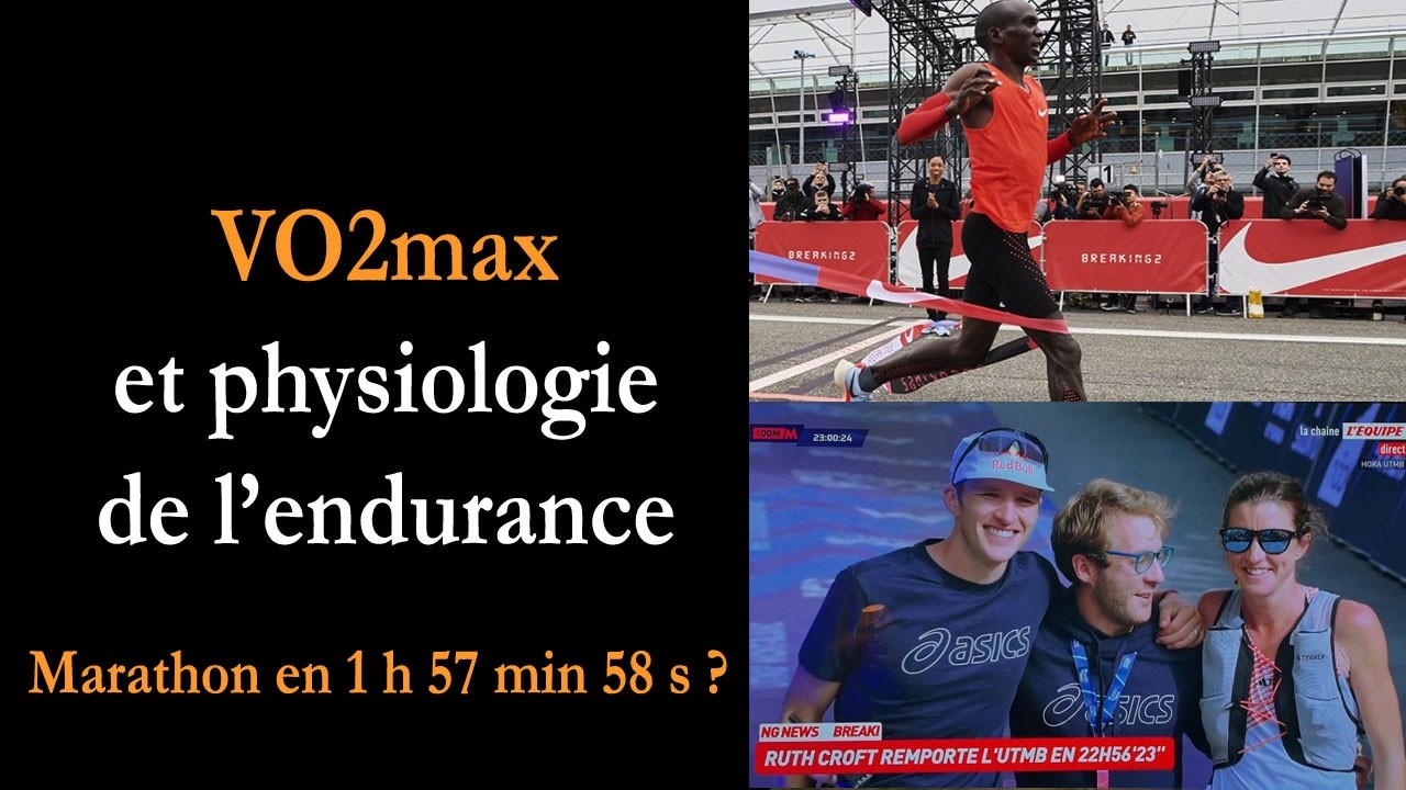 VO2max et physiologie de l'endurance, du marathon à l'UTMB
