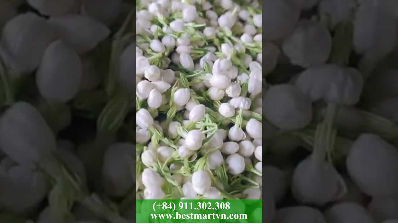 𝐃𝐢𝐬𝐜𝐨𝐯𝐞𝐫 𝐭𝐡𝐞 𝐄𝐥𝐞𝐠𝐚𝐧𝐜𝐞 𝐨𝐟 𝐉𝐚𝐬𝐦𝐢𝐧𝐞 𝐓𝐞𝐚🌸