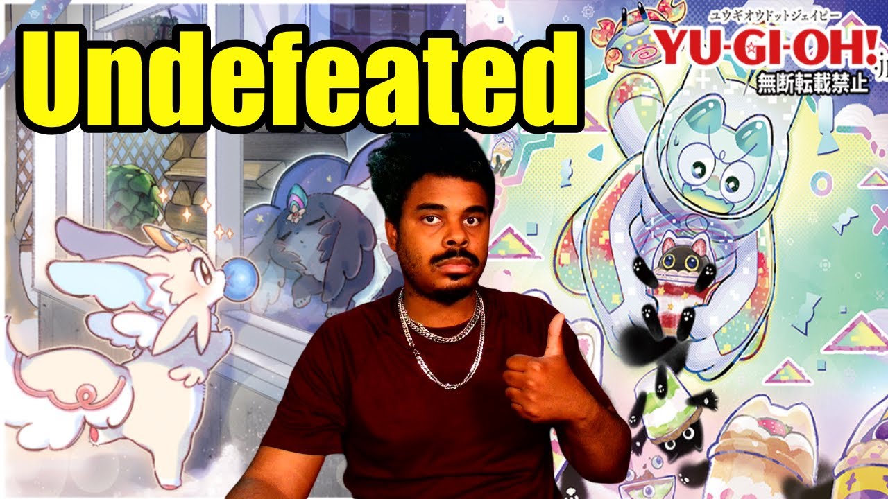 Undefeated Local Profile! Yummy Purrely can play in this Meta!