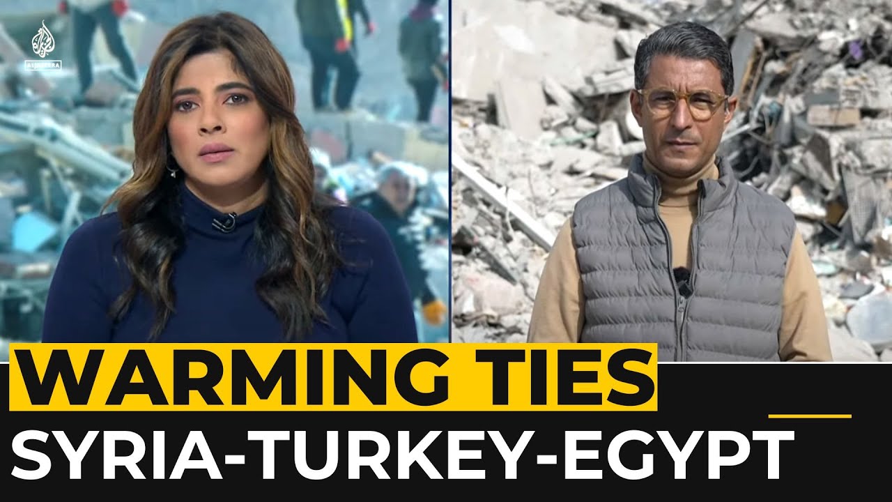 Egypt FM visits Syria and Turkey
