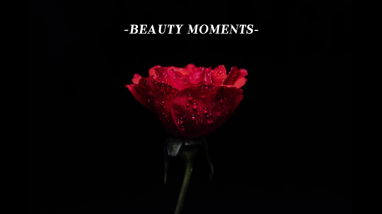 Music for Beauty Moments