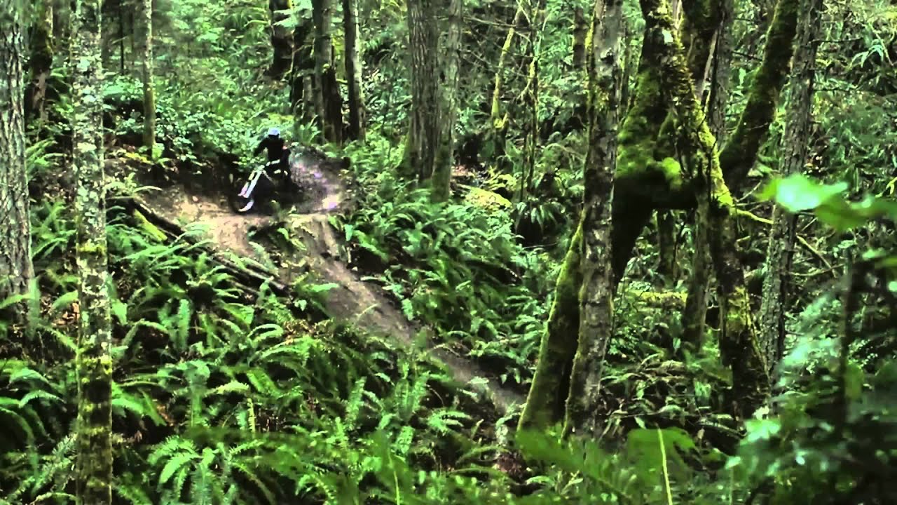 Downhill: Dean Tennant - Spring Cleaning