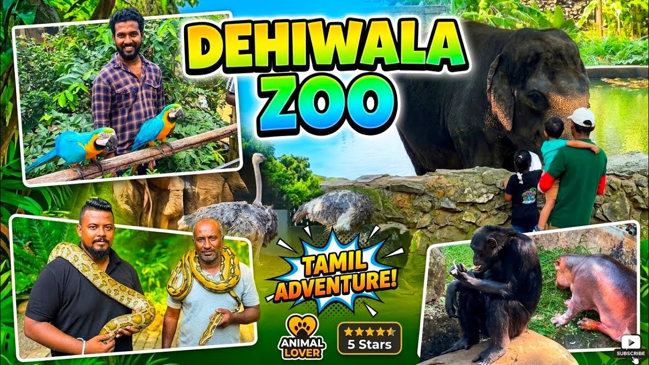 Dehiwala Zoo Srilanka | Colombo #srilanka 