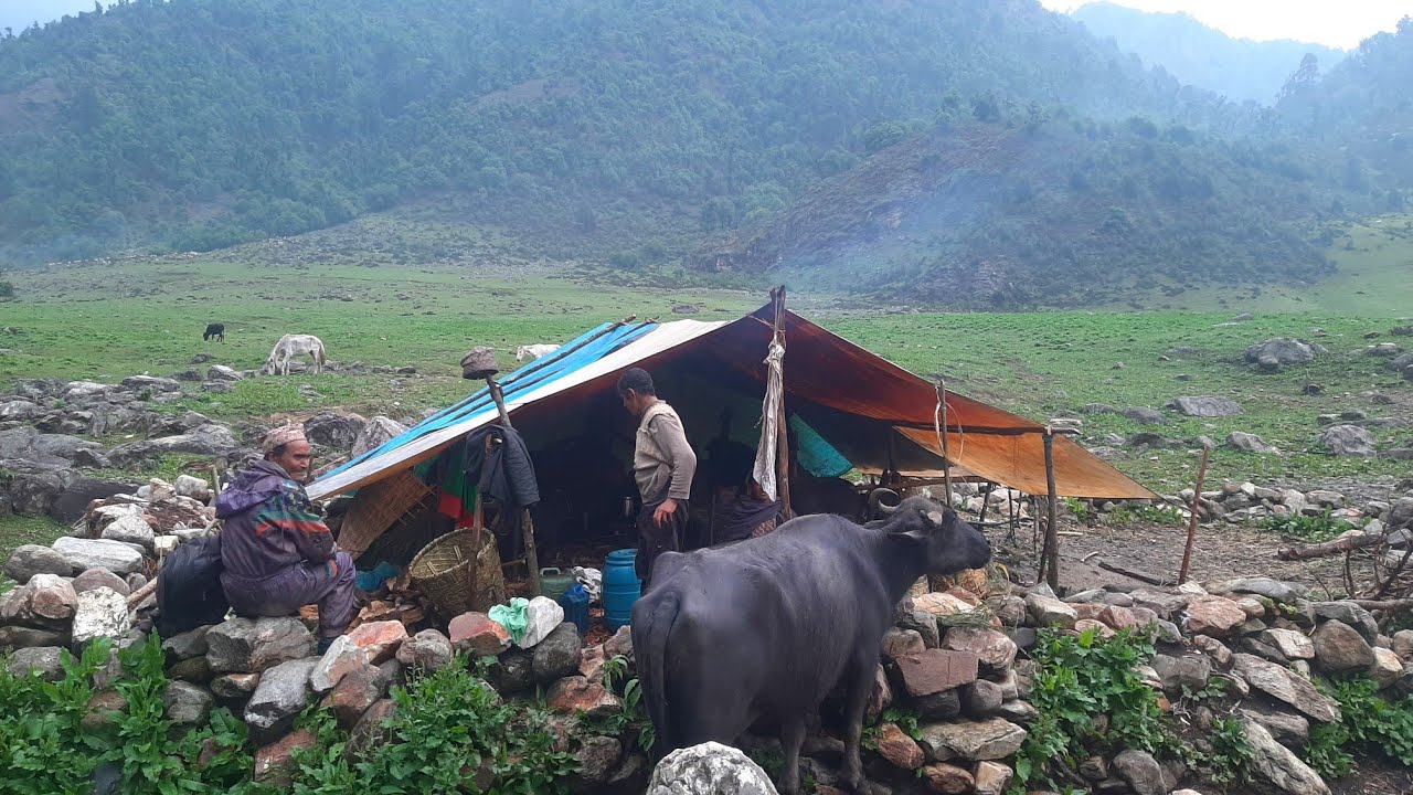 Nepali Mountain Village Life | Nepal🇳🇵| Shepherd Food Cooking | Peaceful Mountain Shepherd Life |