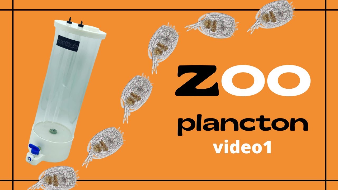 ZOOplancton-reattore by reeftek