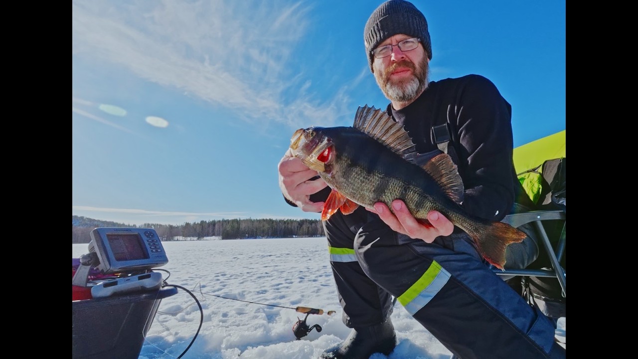 How I do Ice Fishing for Perch
