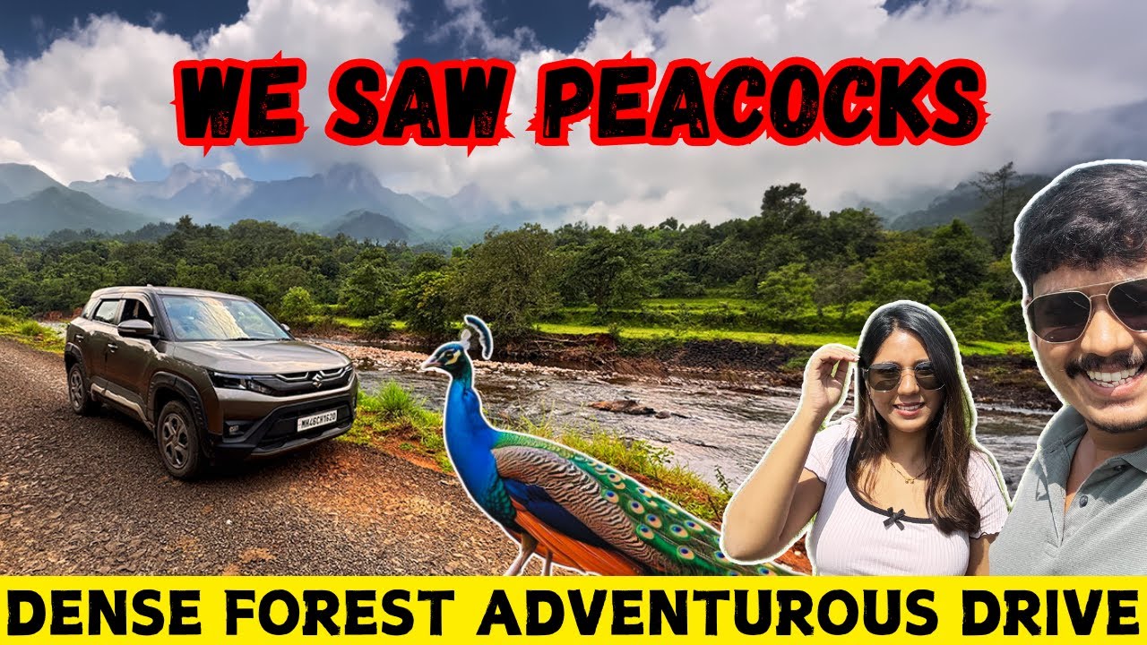 Thrilling Road Trip: Tapola to Mumbai | Maharashtra’s Wildlife and Forests