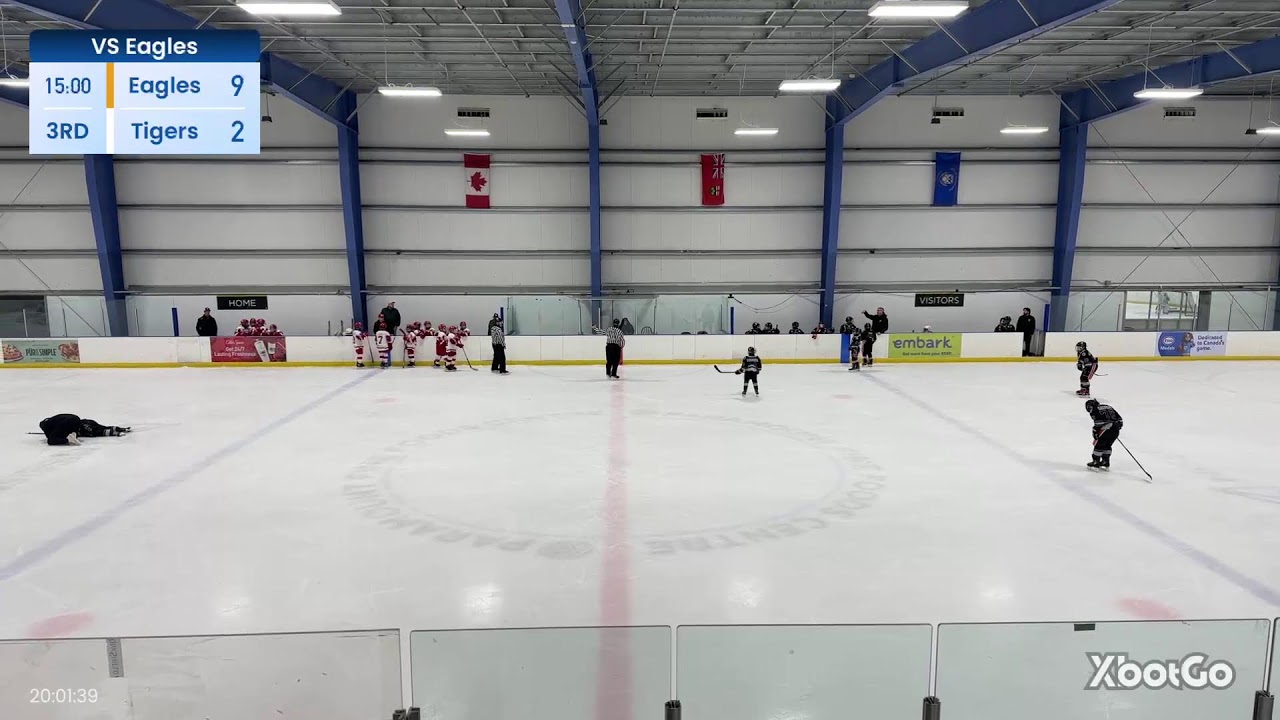 XbotGo Live Stream