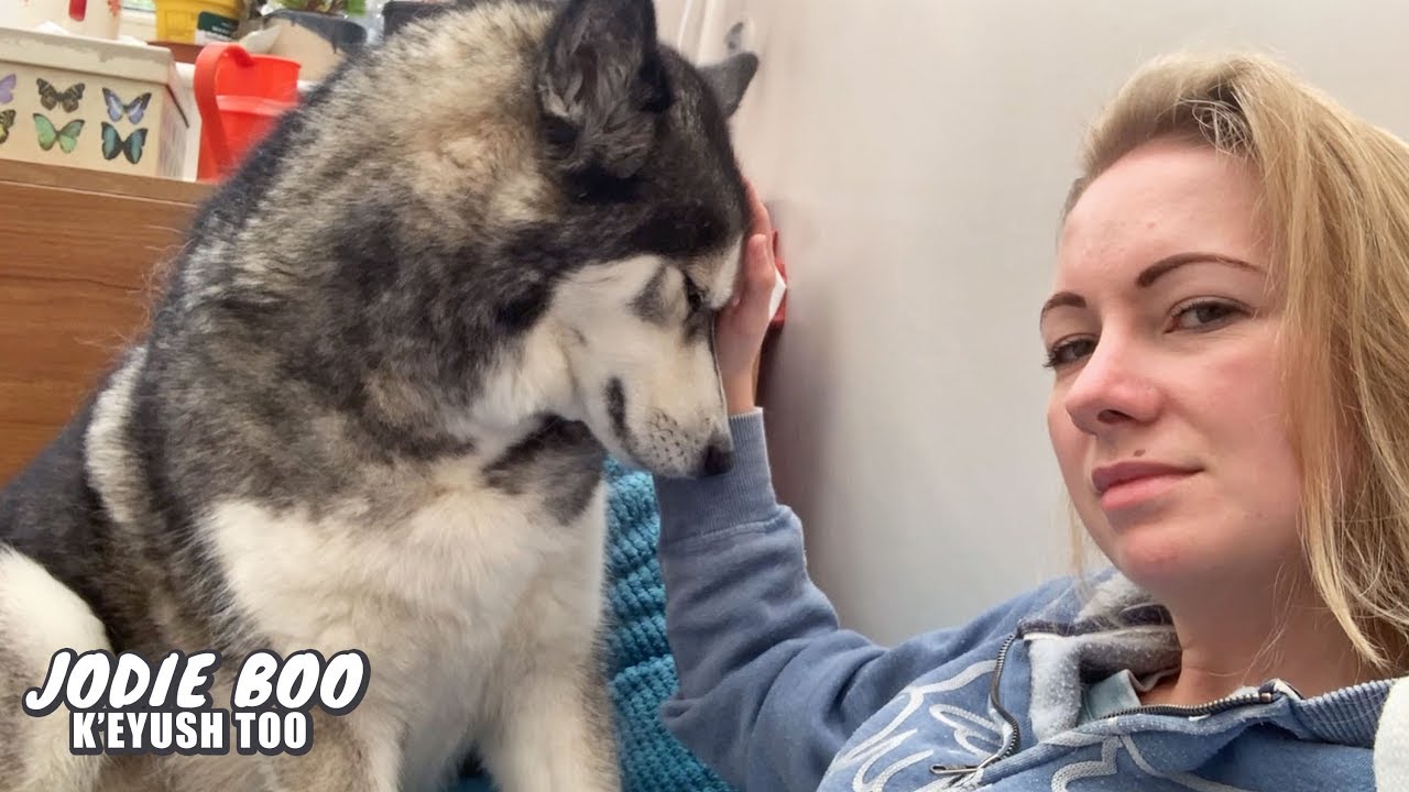 What The Morning With My Husky Looks Like