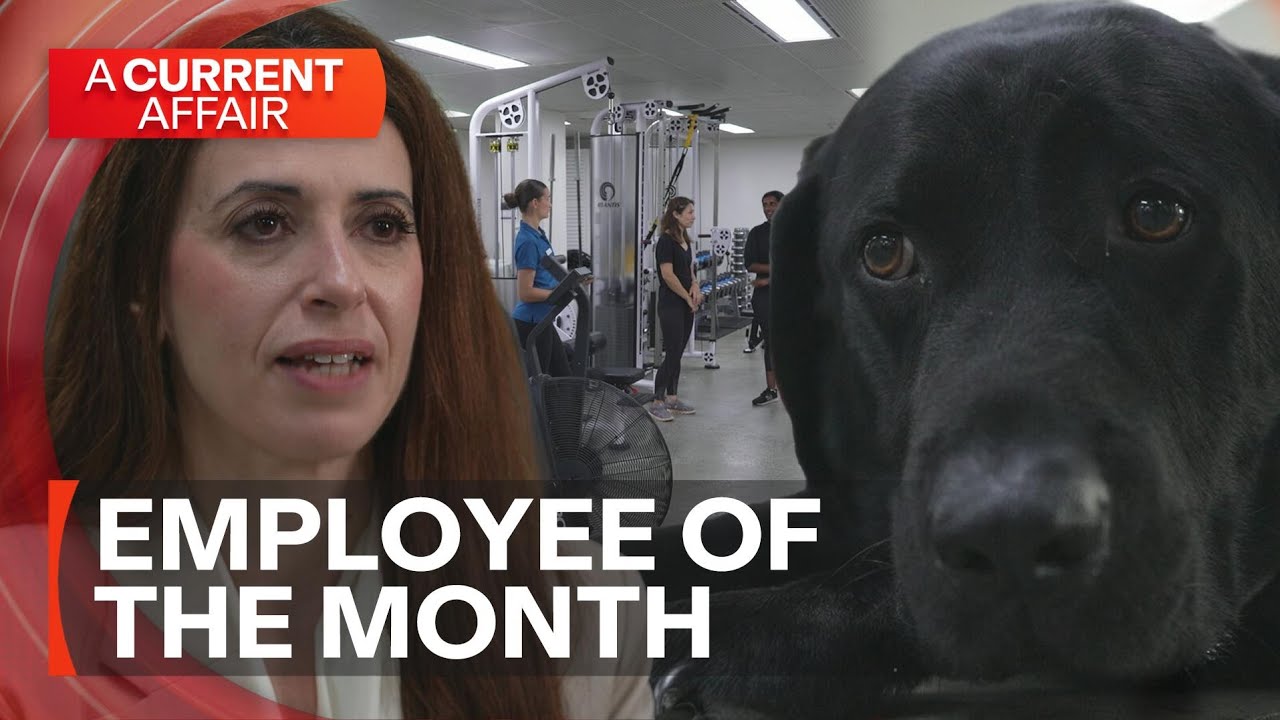 Therapy dog helping patients through treatment| A Current Affair