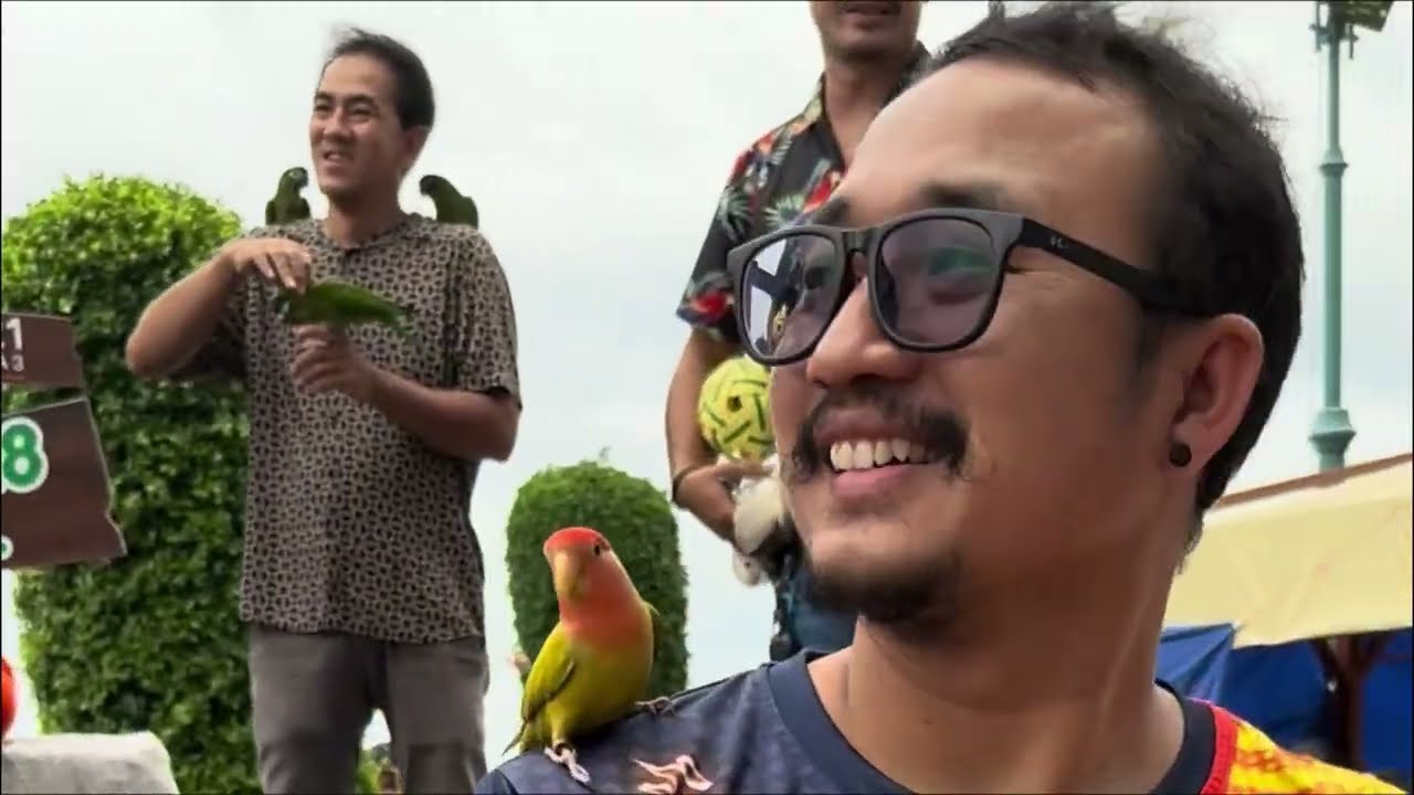 Amazing enjoy you moment with colorful parrots 🦜 
