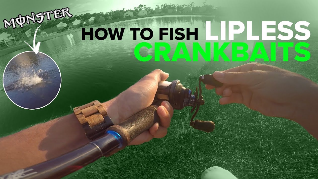How to Fish Lipless Crankbaits - Bass Fishing (Surprising Outcome)