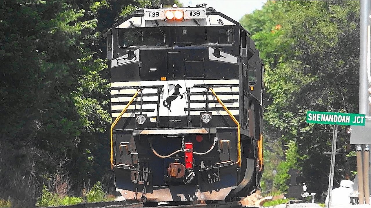 Amtrak, CSX, MARC, & Norfolk Southern Trains in Shenandoah Junction
