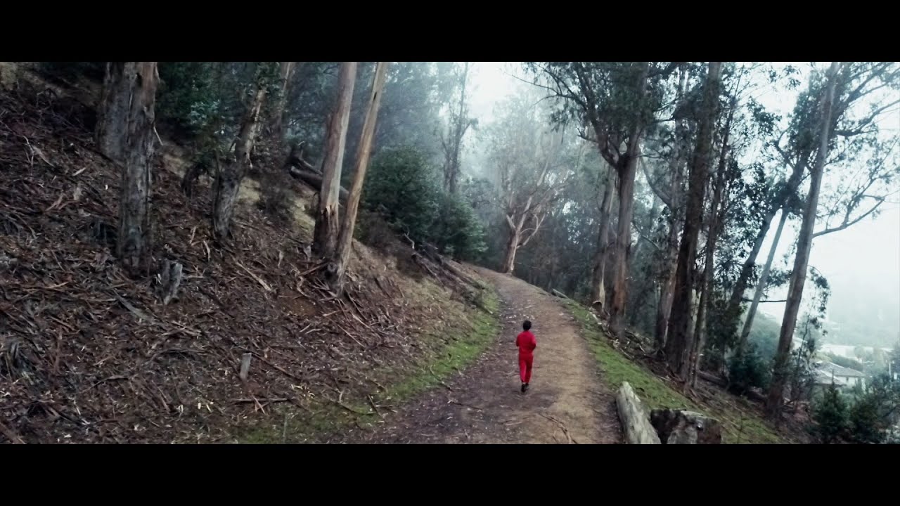 The Dodos - With A Guitar [OFFICIAL MUSIC VIDEO]