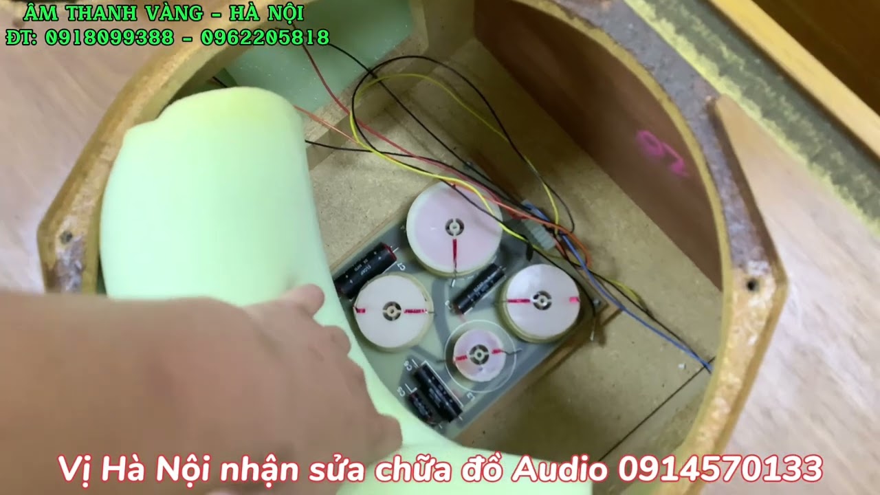 Bóc trần nội thất 3 cặp loa Ditton 44, Ditton 66 và Canton CT2000 để các bác cùng xem