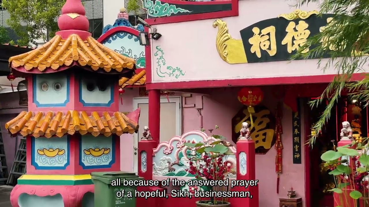 Rooted – digital media skills class mini movie