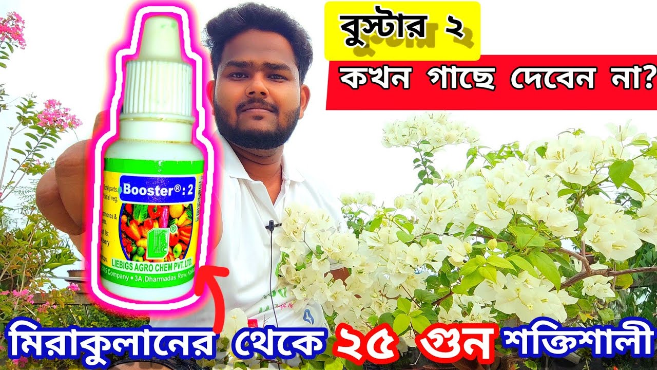 বুস্টার ২ : মিরাকুলানের থেকে ২৫ গুন বেশী শক্তিশালী | Use of Booster 2 Plant Growth Regulator