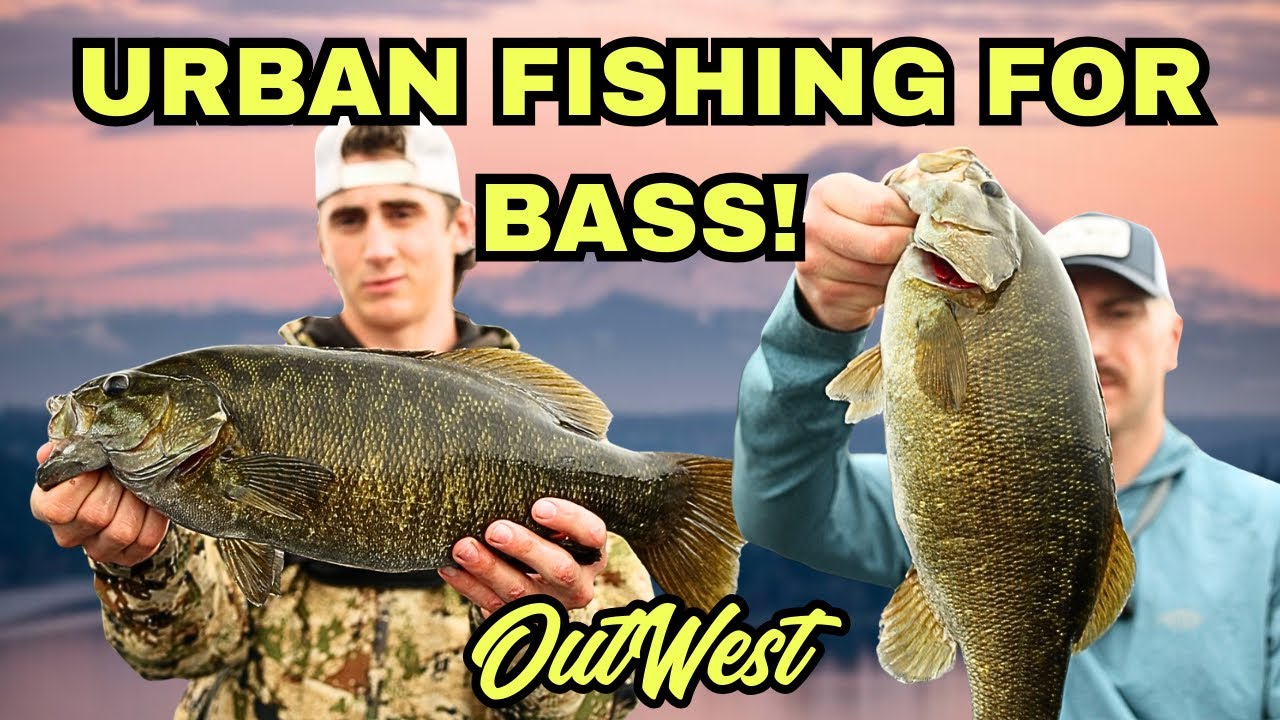 Fishing Lake Washington For Late Summer SmallMouth! 