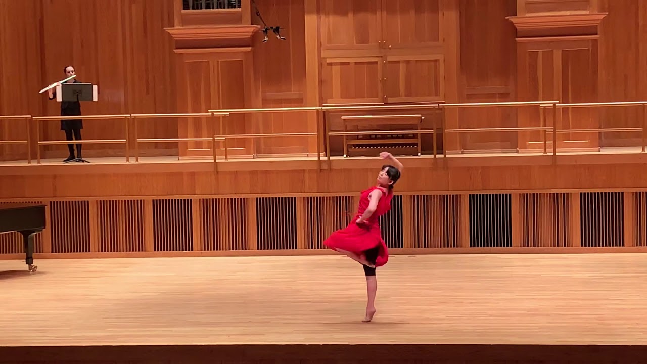 Self-Choreography on Schubert Introduction and Variations D.802