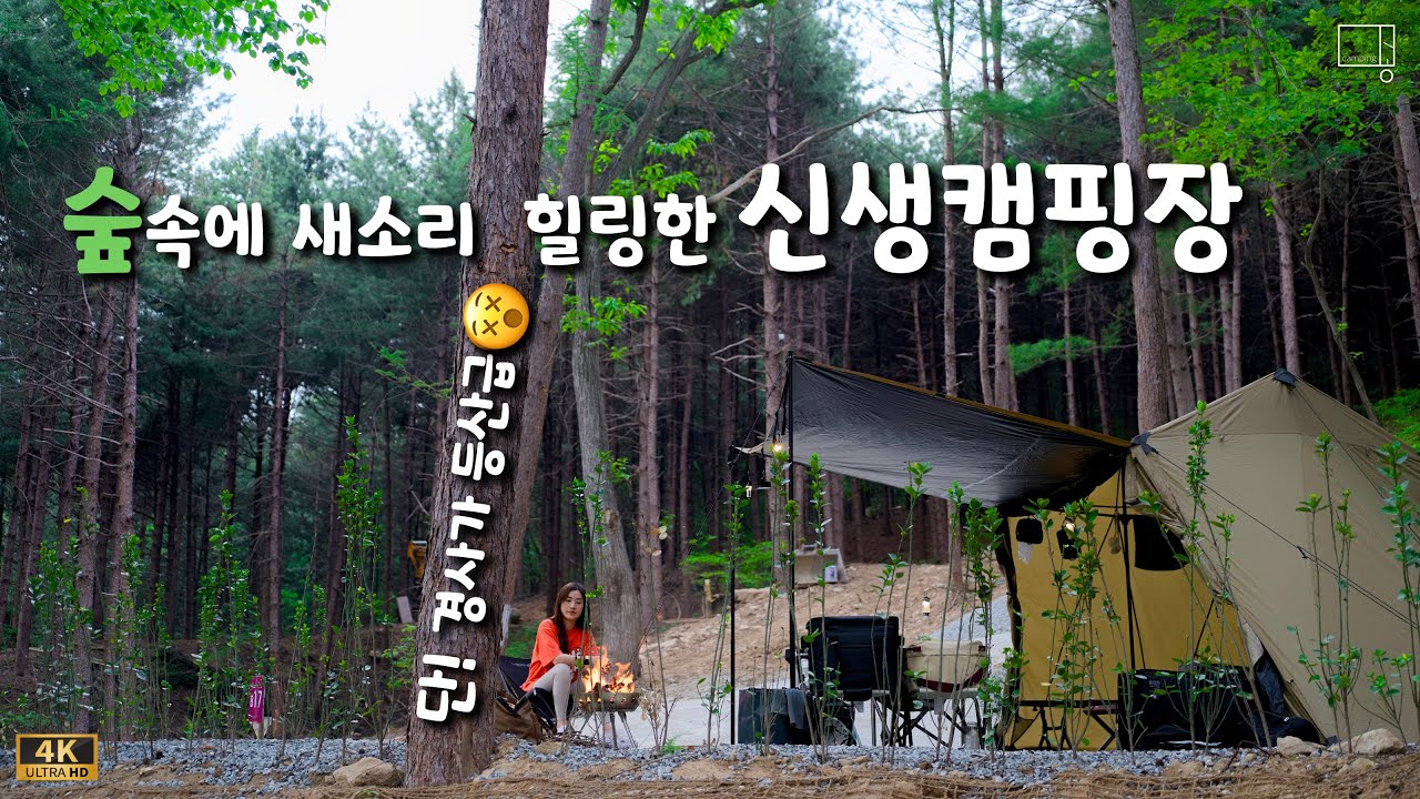 새로 오픈한 숲속 캠핑장 시설,분위기 대만족 그리고 단점 한가지☝🏻스므나리캠핑장|라이프아웃도어 그랑코어쉘터⛺부부캠핑|캠핑요리