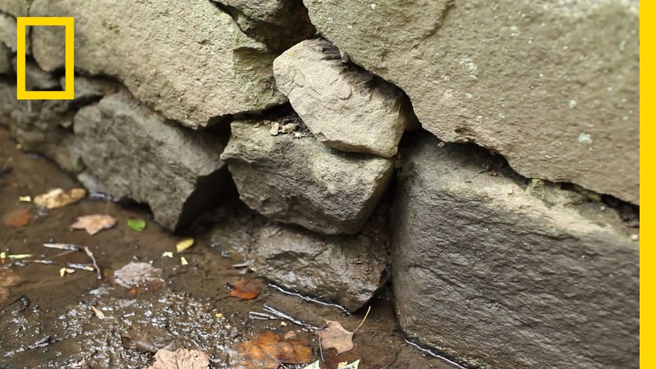 Buried Stream Sees the Light of Day | National Geographic