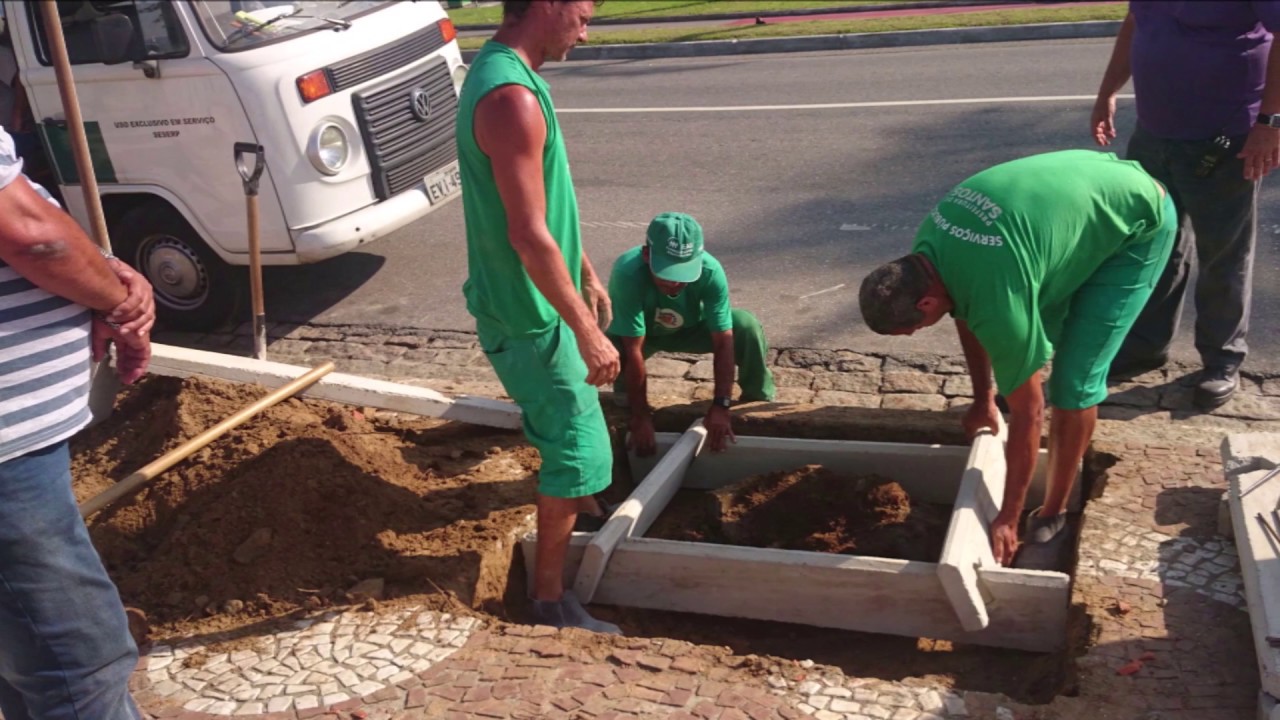 SALVANDO AS ÁRVORES E CALÇADAS AO REDOR