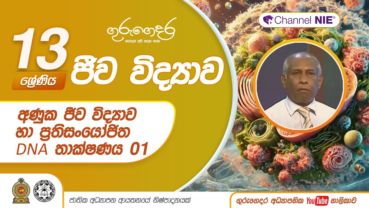 අණුක ජීව විද්‍යාව හා ප්‍රතිසංයෝජිත DNA තාක්ෂණය 01-13 ශ්‍රේණිය (ජීව විද්‍යාව)