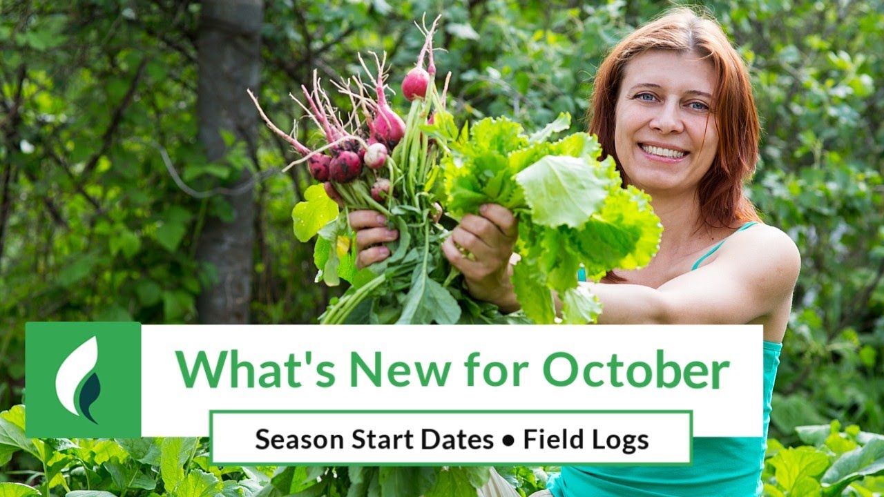What's New for October 2025