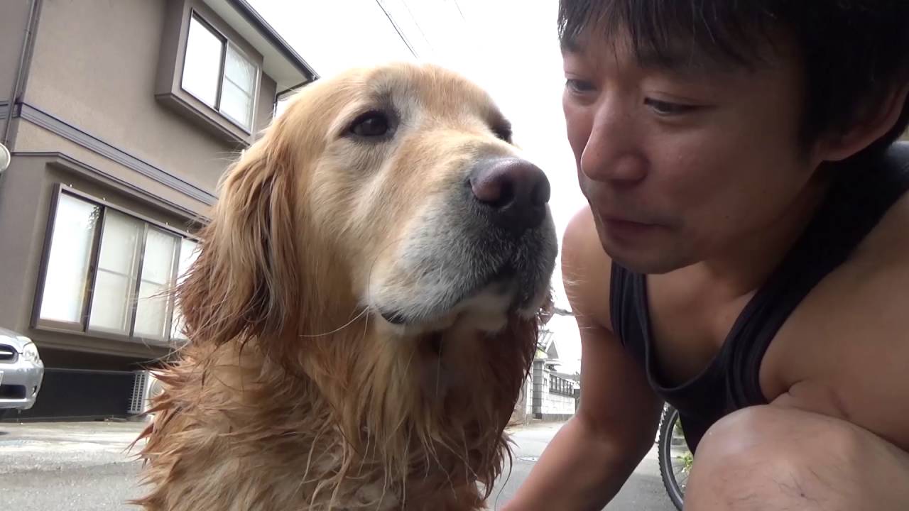 ばいくを洗車する！！