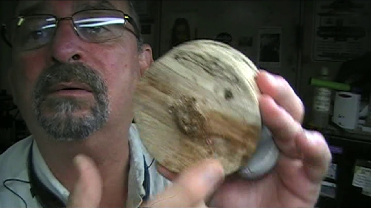 golden turkey pot call