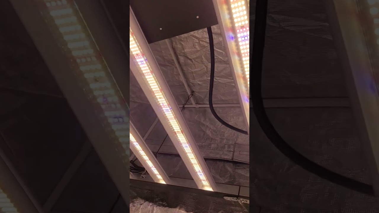 New Release! Slim Killa Watt 500 Bloom - 3,300+ LEDs - Over 480 Deep Red LEDs - 3.0 umols/J