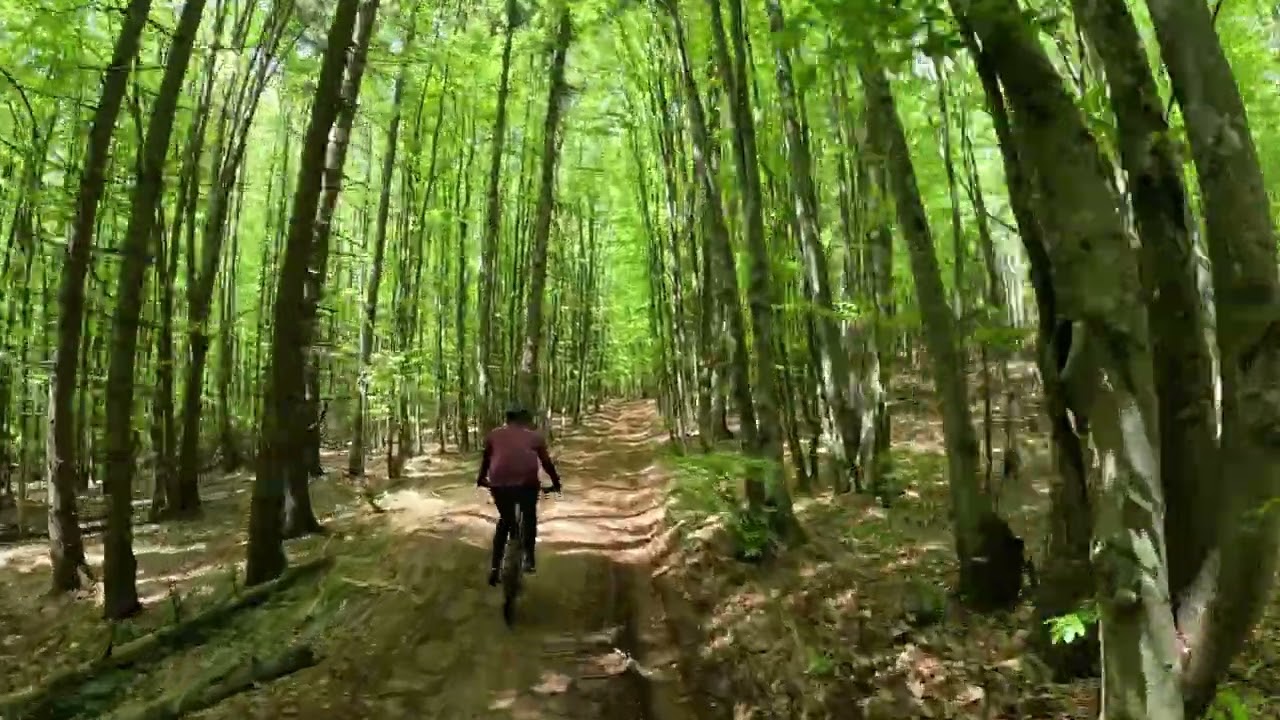 Bike trip 10.05.2025 - Bulzestii de Sus - Muntele Gaina(cruce)