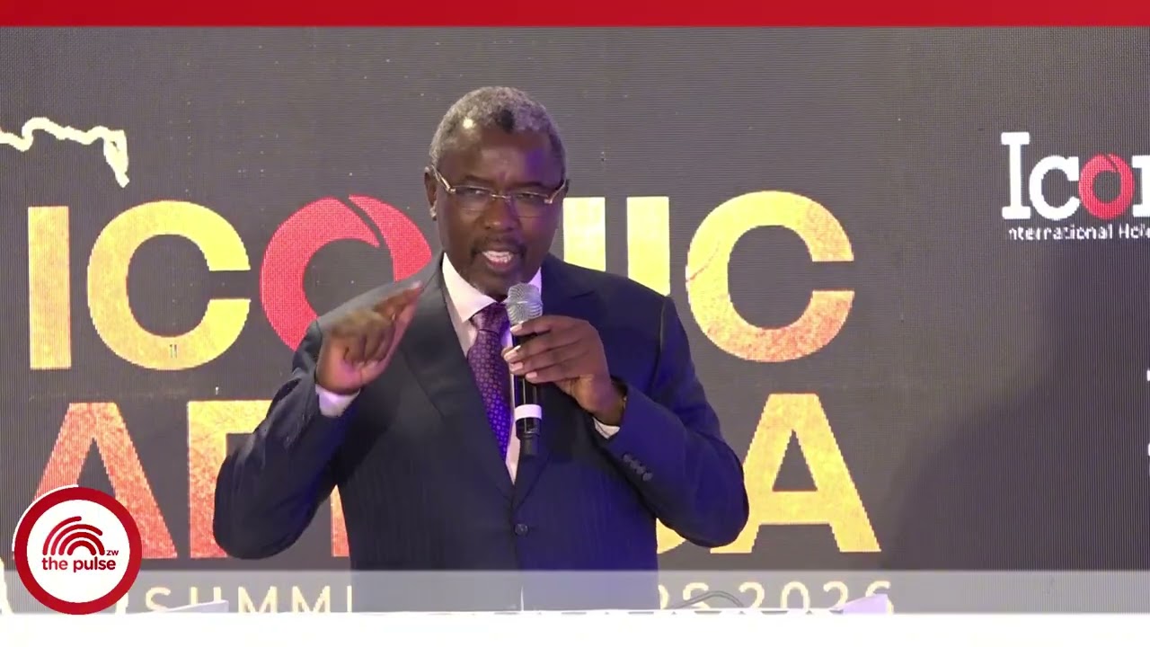 Dr Tagwirei explains he was forced into politics