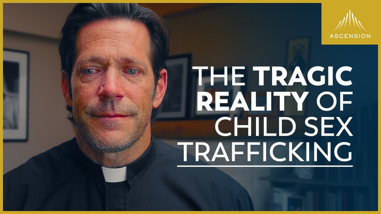 Fr. Mike Schmitz Reviews 