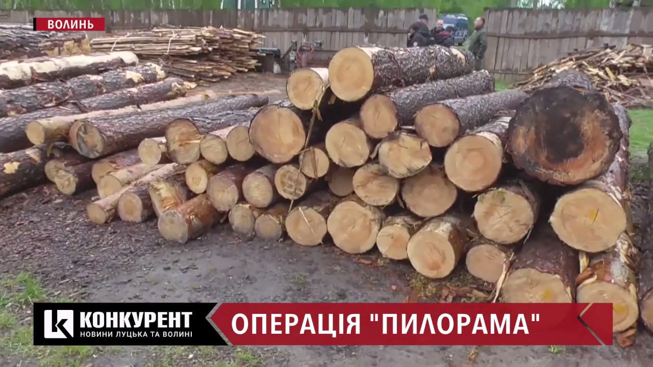 На Волині масштабна спецоперація: в оселях лісокрадів, які спалили автомобіль з дубом, знайшли зброю