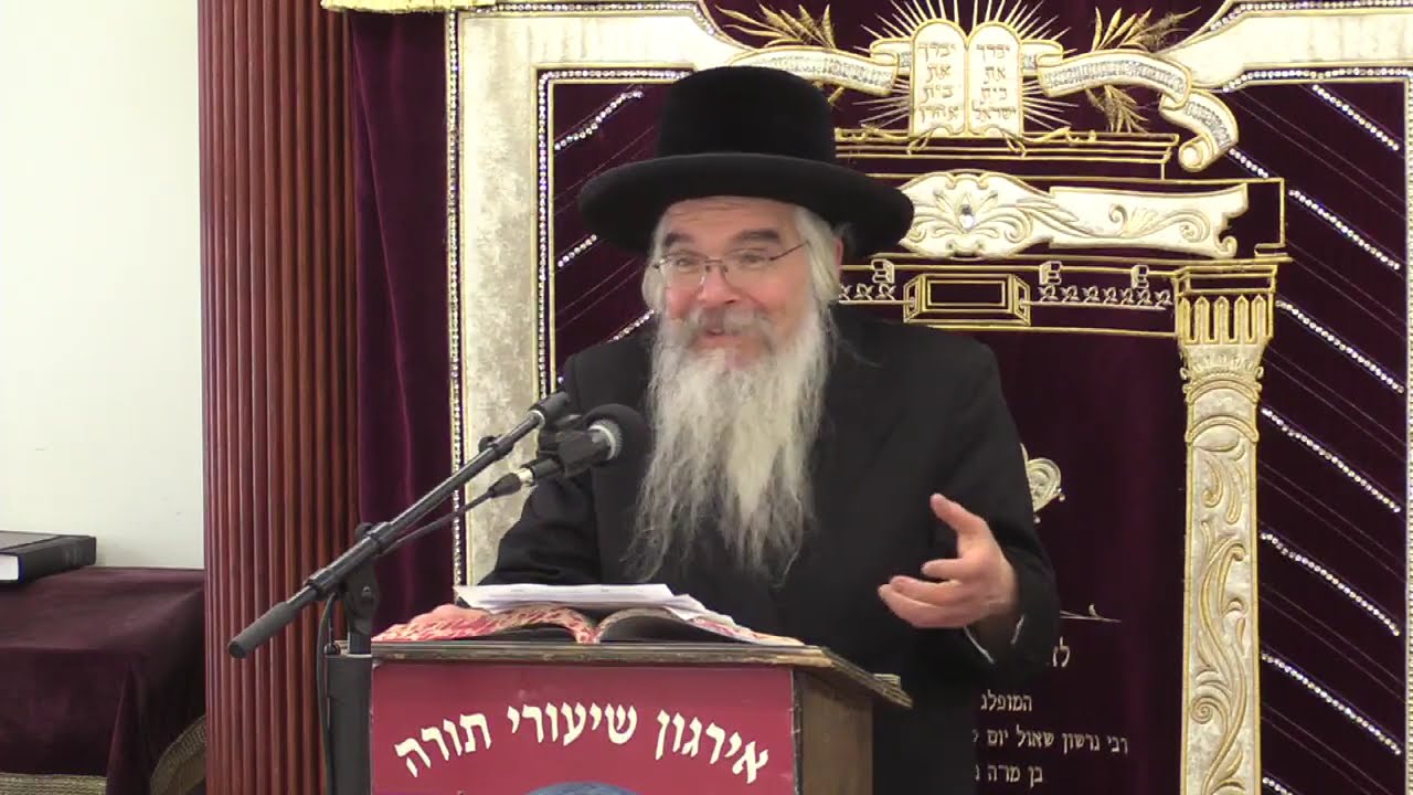 חידושים בהלכות פורים -  ר' אברהם חיים שטיינווארצעל שליט