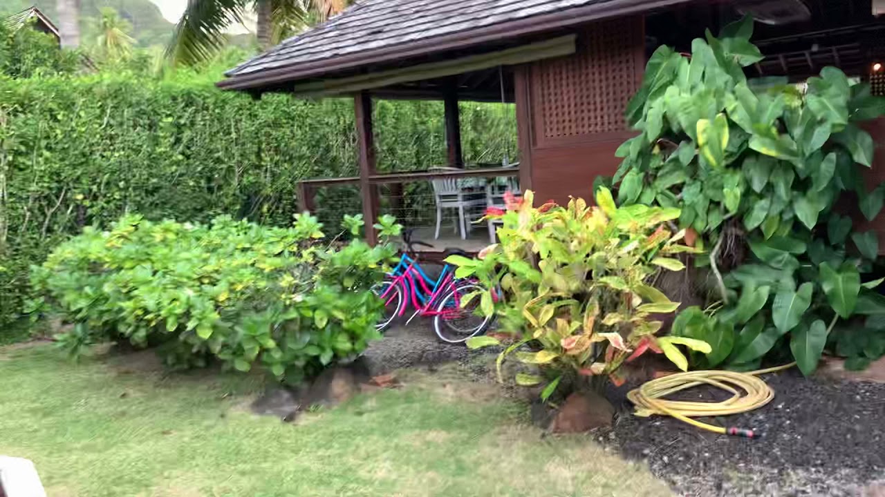 Paradis in this AirBnB in Marahepa, Moorea