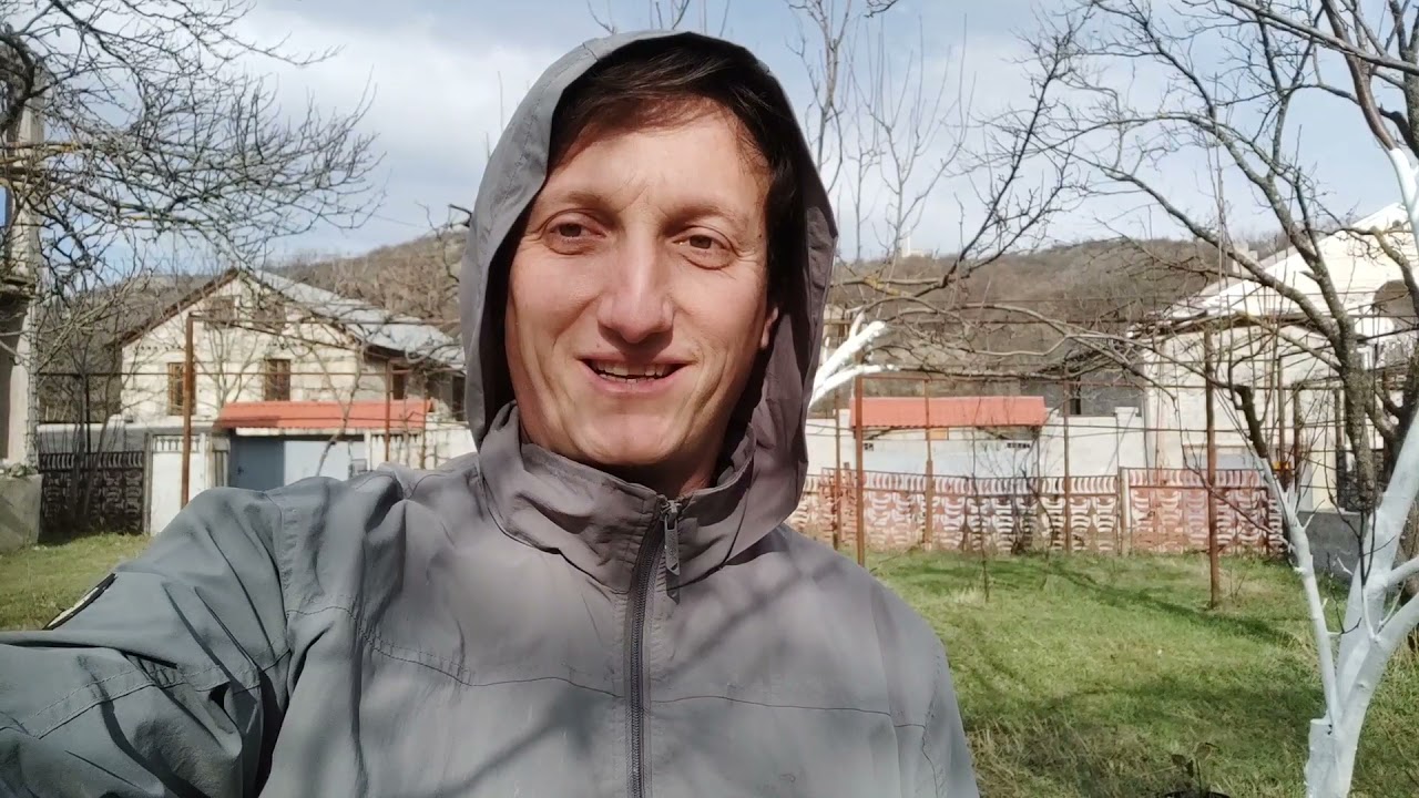 ხეების გამწმენდი დამუშავება ზამთრის წინ. რკინის ძაღა+კარბამიდი(შარდოვანა)