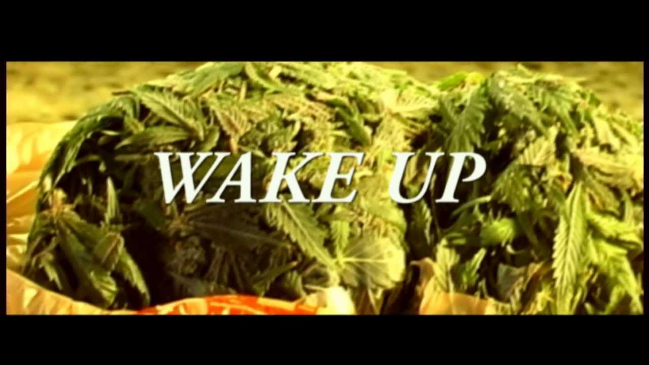 Hash Dry Ice Extract Video