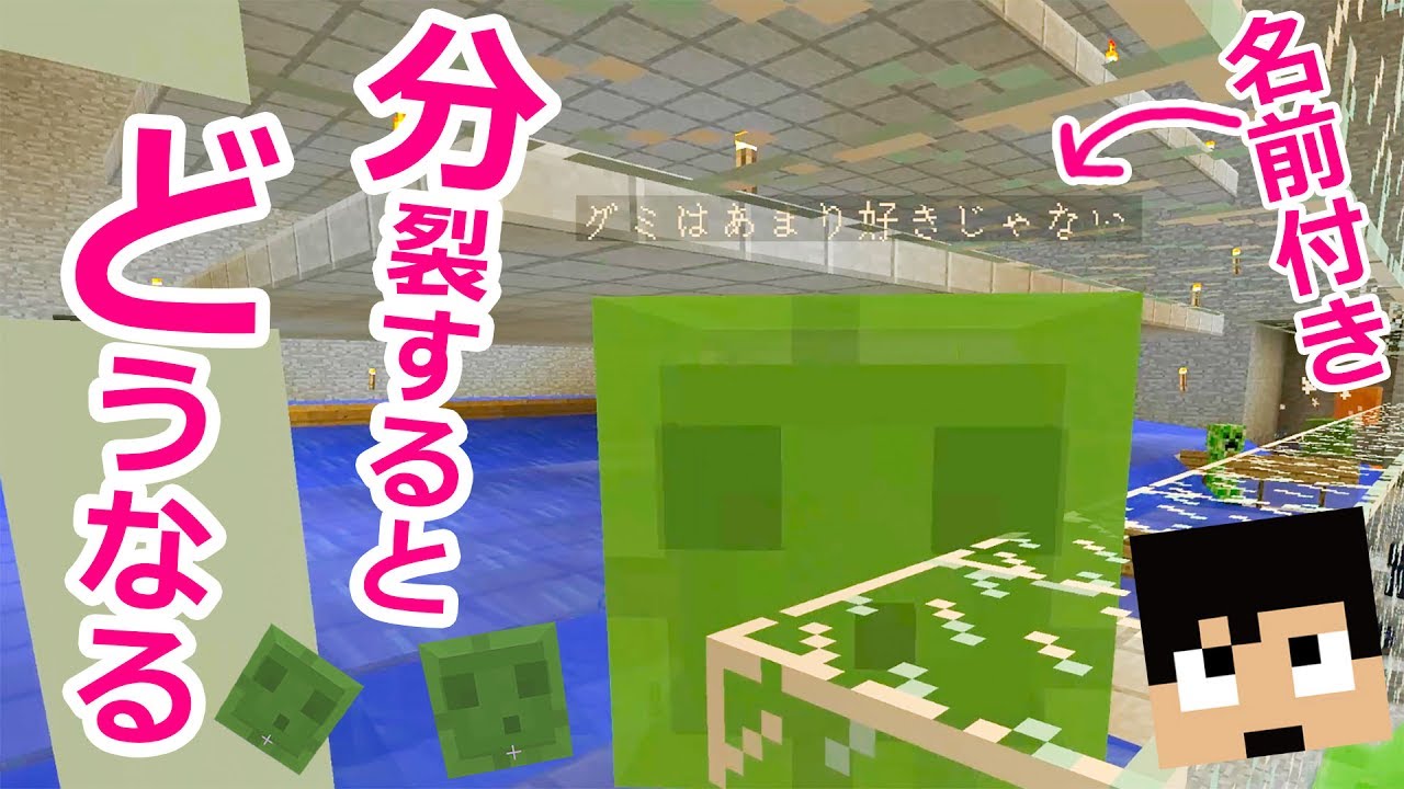 【カズクラ】まじかwww名前を付けたスライム分裂するとどうなるの？マイクラ実況 PART876