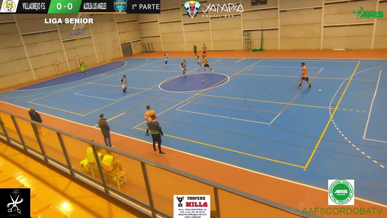 LIGA SENIOR 13ª JORNADA 1ª PARTE VILLAOBEJO F S    ALCOLEA LOS ANGELES