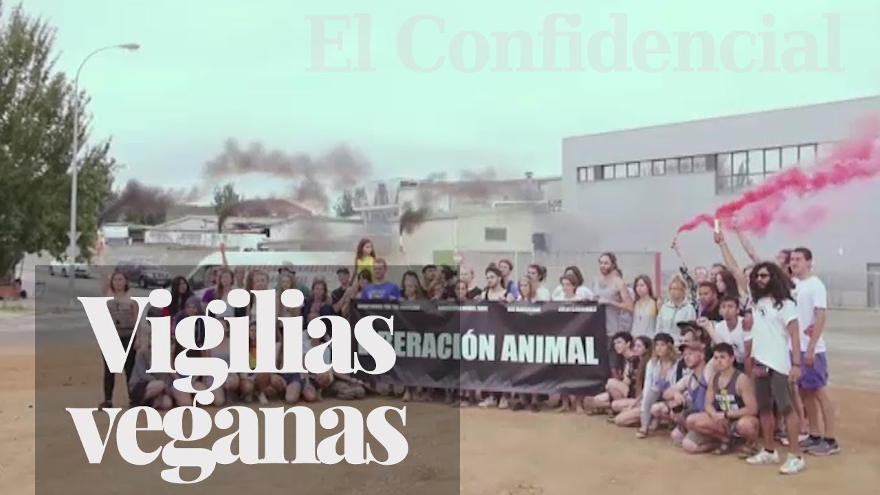 Las vigilias veganas: así es el último adiós a los animales por parte de los activistas