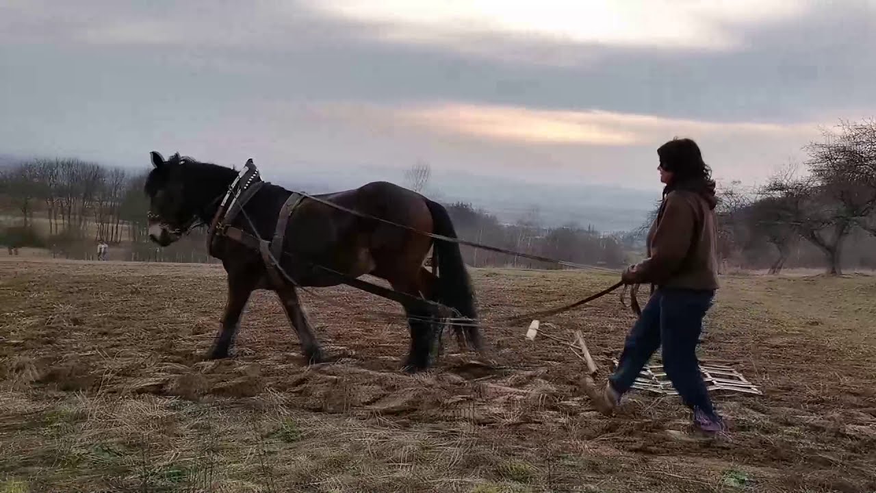 Vláčení pole
