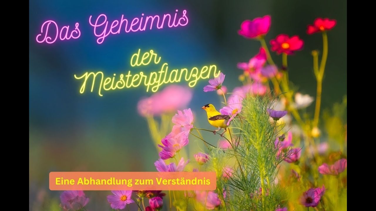 Das Geheimnis der Meisterpflanzen