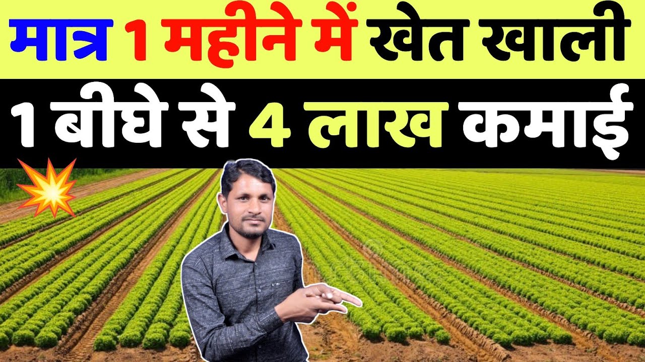 मात्र 30 दिन में 💥 4 लाख कमाएं 8 हजार लगाकर इस खेती से एक एकड़ में | dhaniya ki kheti kaise karen