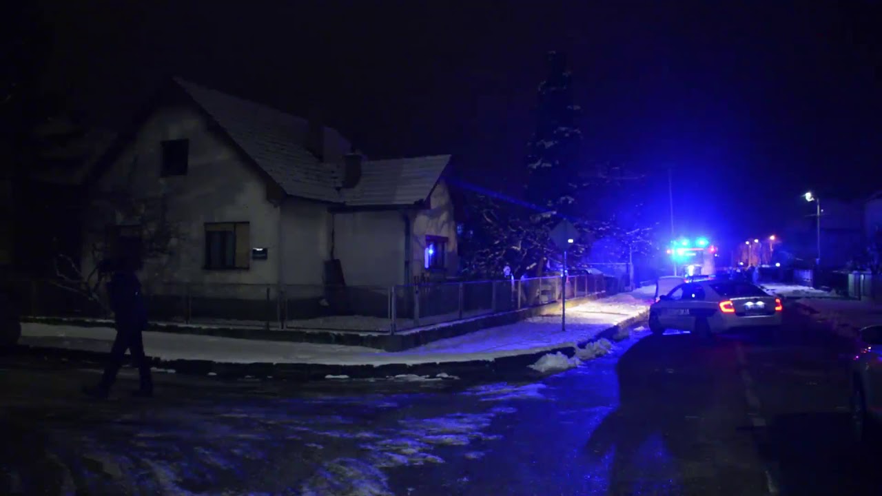 Pas rastrgao vlasnika u Šapcu