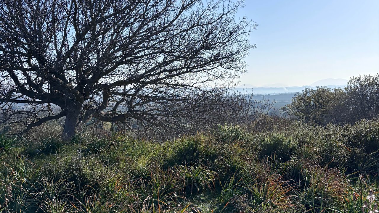 Running in Teos Ancient City | Calm Ruins, Alert Dogs